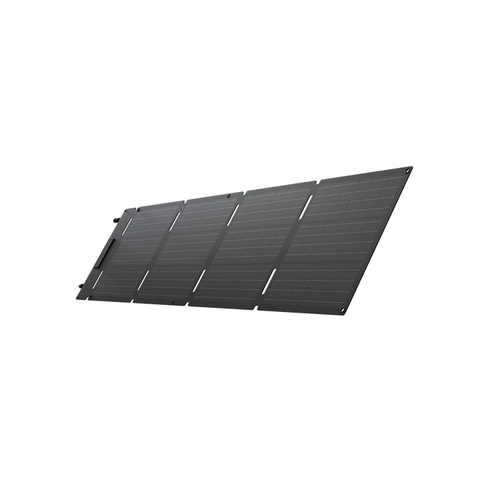 EcoFlow - 60W Portable Solar Panel - King of Generators