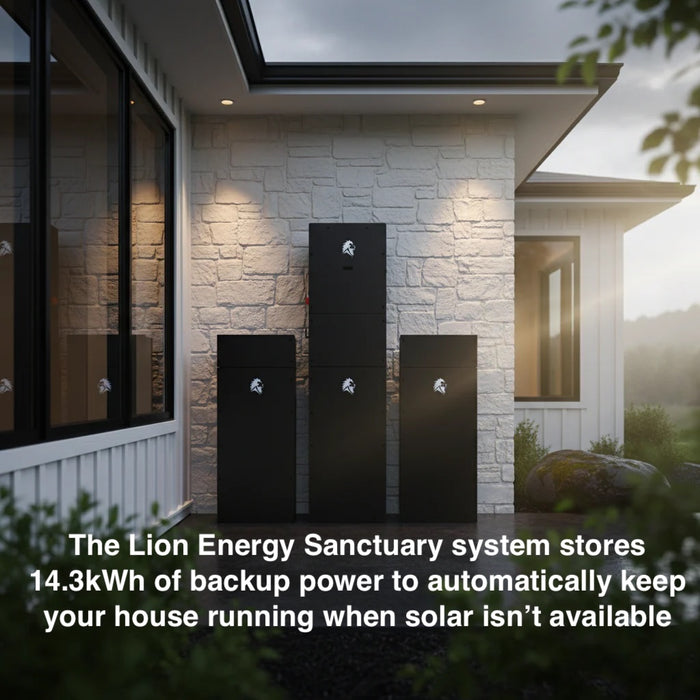 Lion Energy - Lion Sanctuary 2