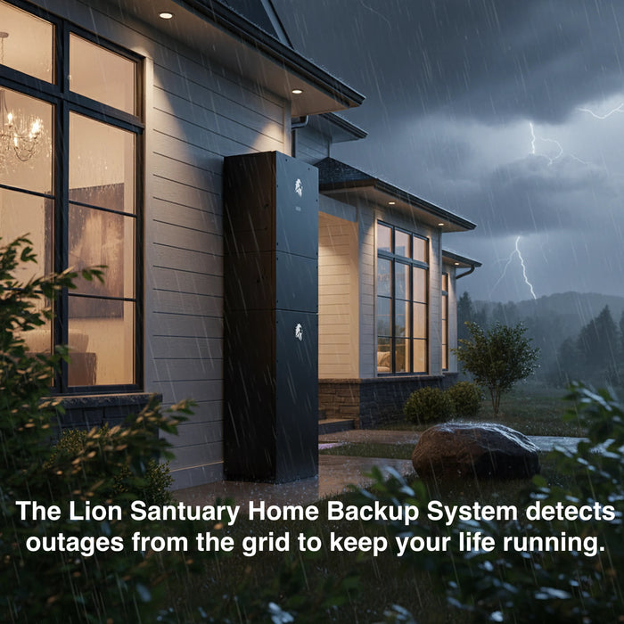 Lion Energy - Lion Sanctuary 2