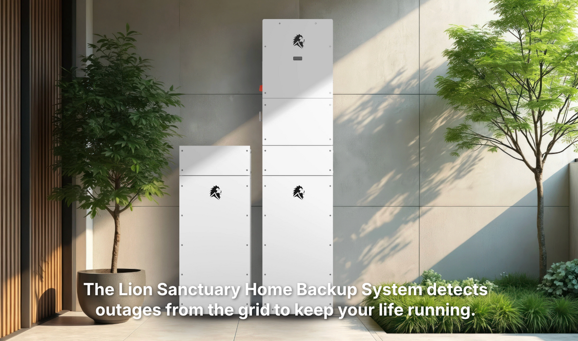 Lion Energy - Lion Sanctuary 3