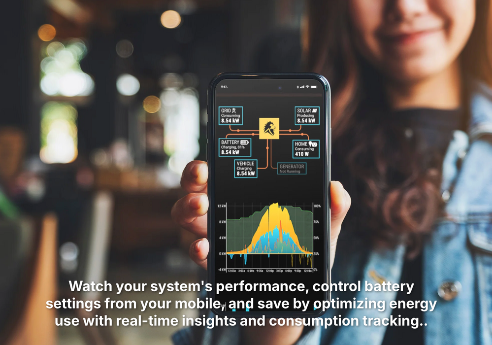 Lion Energy - Lion Sanctuary 3