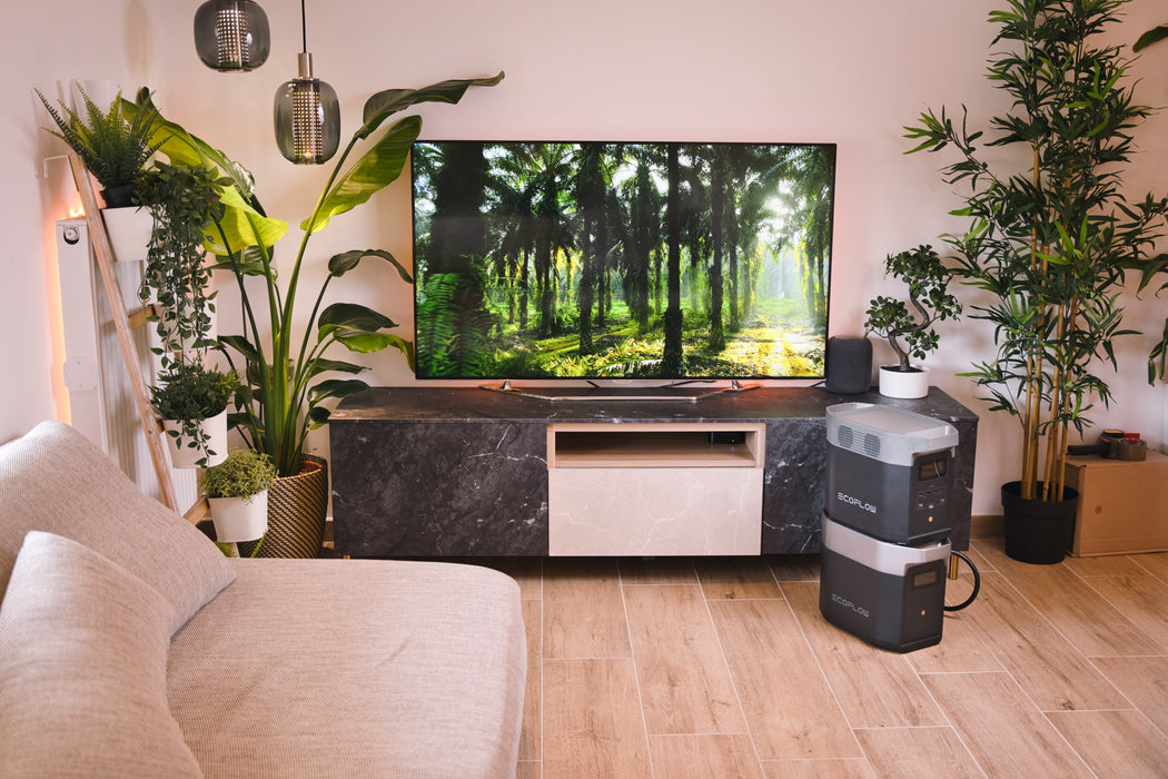 EcoFlow DELTA 2 Smart Extra Battery - King of Generators